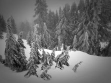 end of december 2011.jpg